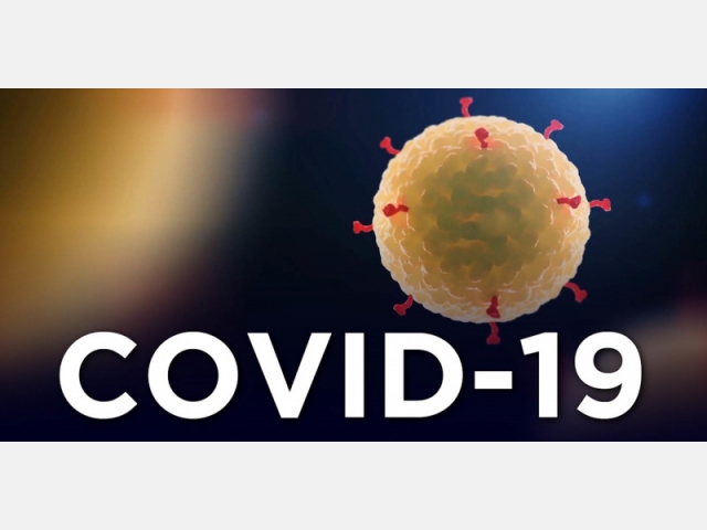 COVID-2019: Как Деловой Клуб АКК справляется с вызовами